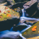 Image for article titled 48 Photos Of Autumn Around The World